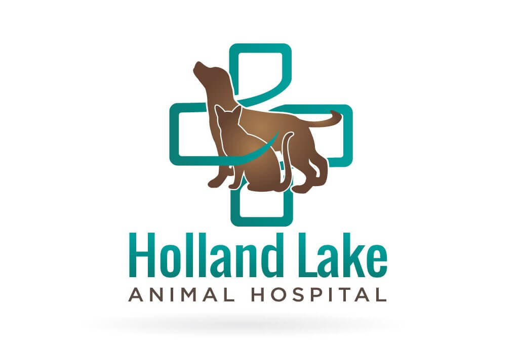 Holland Lake Animal Hospital